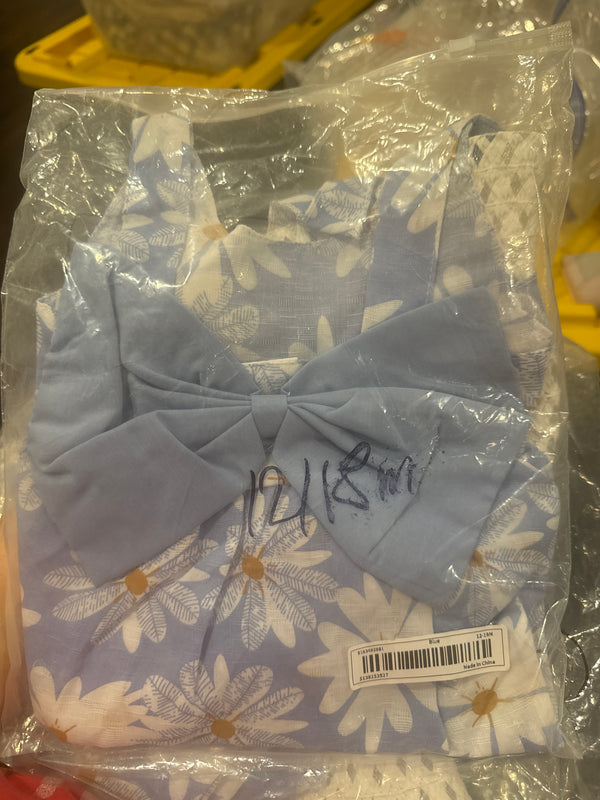 Blue daisy w hat